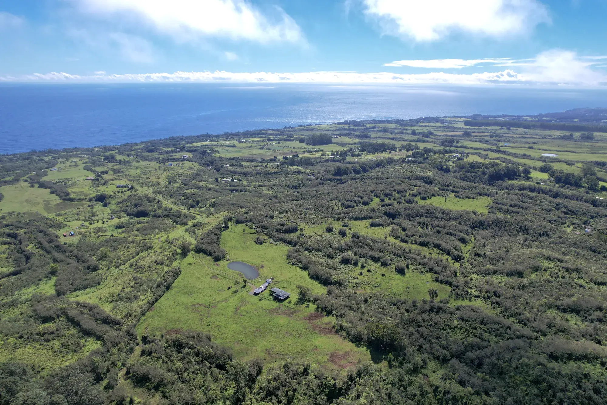 Aerial view of pasture and forest running down the Hamakua Coast to the ocean